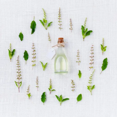 Huile parfumée au musc 12 ml