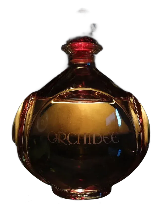 Eau de parfum ambrée 100 ml