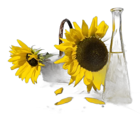 Huile de tournesol, bouteille de 1 L